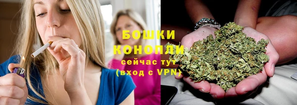 гидропоника Новозыбков